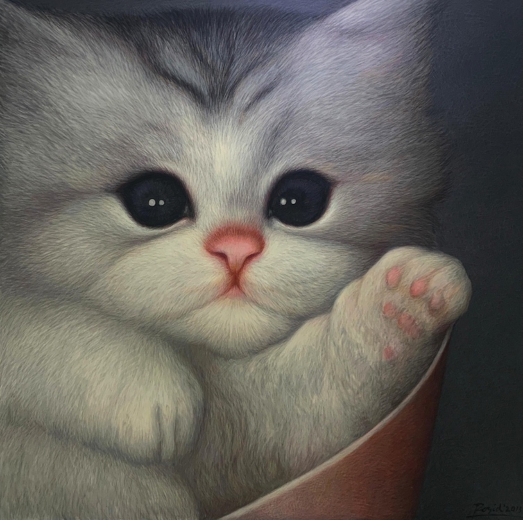 Anak Kucing