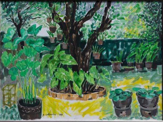 Kebun Ku